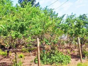 Prodej rodinného domu, Mogilishte, Bulharsko, 170 m2