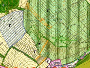 Dražba louky, Rajnochovice, 6248 m2