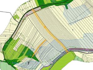 Dražba pole, Velký Ořechov, 11710 m2