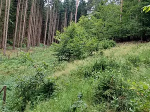 Dražba pozemku, Blatce, 2275 m2