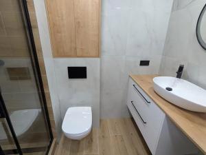 Pronájem bytu 2+1, Most, Obránců míru, 53 m2