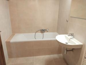 Pronájem bytu 2+kk, Plzeň, U Borského parku, 67 m2