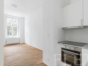 Pronájem bytu 1+kk, Praha - Nusle, Lumírova, 31 m2