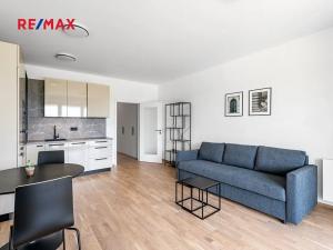 Pronájem bytu 1+kk, Praha - Karlín, Breitfeldova, 42 m2