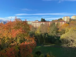 Prodej bytu 3+1, Uherský Brod, Družstevní, 72 m2