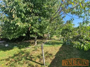 Prodej chalupy, Uherský Brod, Brodská, 378 m2