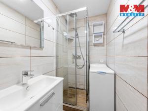 Prodej bytu 1+kk, Chlumec, Vyklická, 35 m2