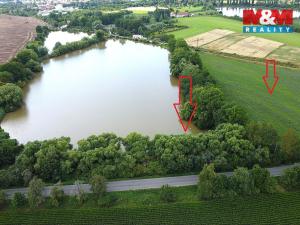 Prodej rybníku, Český Brod - Liblice, 6053 m2