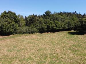 Prodej pole, Strašín, 33901 m2