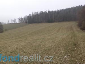 Prodej pole, Zvěstov, 51947 m2