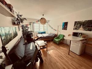 Pronájem bytu 1+kk, Liberec, Jeronýmova, 35 m2