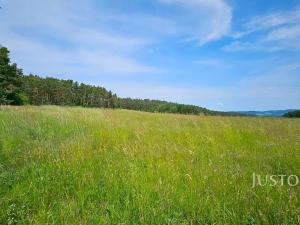 Prodej pozemku pro bydlení, Dobev, 8980 m2