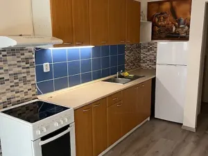 Pronájem bytu 2+1, Praha - Vinohrady, Mrštíkova, 63 m2