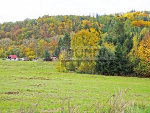 Prodej chaty, Kaliště, 30 m2