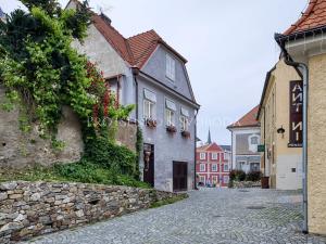 Prodej ubytování, Český Krumlov, Horská, 469 m2