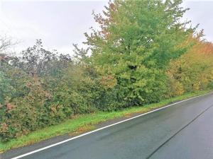 Prodej komerčního pozemku, Měšice, 2035 m2