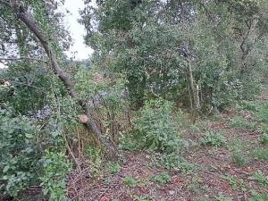 Prodej komerčního pozemku, Měšice, 2035 m2