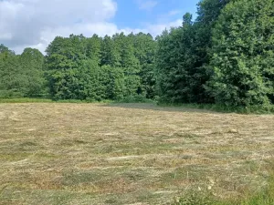 Dražba lesa, Česká Kamenice, 14221 m2