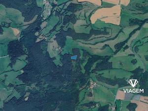 Prodej podílu lesa, Volyně, 1129 m2