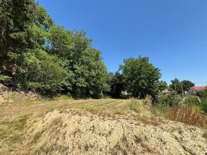 Prodej pozemku pro bydlení, Nelahozeves, Pod strání, 1958 m2