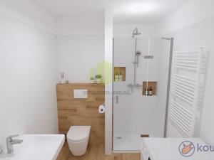 Prodej bytu 1+kk, Lipník nad Bečvou, Mánesova, 25 m2