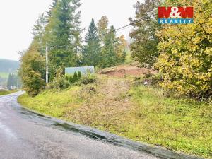 Prodej pozemku pro bydlení, Červená Voda - Horní Orlice, 2024 m2