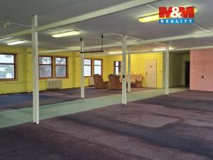 Pronájem obchodního prostoru, Chomutov, Alfonse Muchy, 260 m2