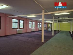 Pronájem obchodního prostoru, Chomutov, Alfonse Muchy, 260 m2