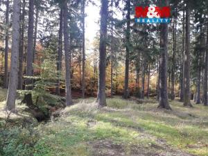 Prodej lesa, Manětín - Stvolny, 12970 m2