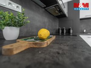 Prodej bytu 1+kk, Mladá Boleslav - Michalovice, 45 m2