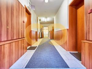 Prodej bytu 1+1, Malonty, 41 m2