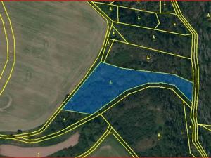 Dražba lesa, Slavičky, 6551 m2