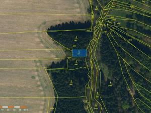 Prodej lesa, Žirovnice, 325 m2