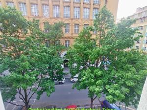 Pronájem bytu 2+kk, Praha - Žižkov, Kubelíkova, 41 m2