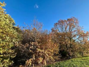 Pronájem bytu 3+kk, Praha - Hlubočepy, Fabiánové, 67 m2