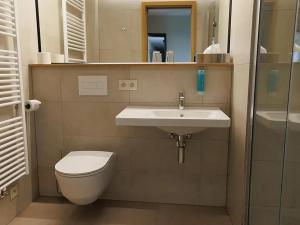 Pronájem bytu 1+kk, Plzeň, Pallova, 32 m2