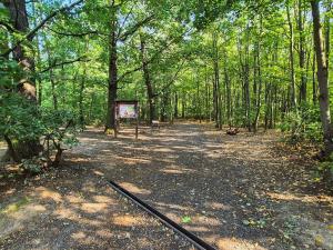 Pronájem bytu 3+1, Praha - Bohnice, Lindavská, 77 m2