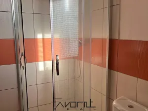 Pronájem bytu 1+1, Ostrava, Korunní, 53 m2