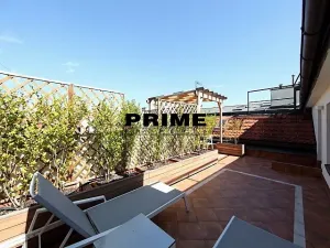 Pronájem bytu 5+1, Praha - Malá Strana, Újezd, 265 m2