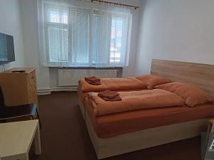 Pronájem bytu 1+kk, Uherský Brod, Mariánské nám., 25 m2