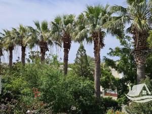 Prodej vily, Pafos, Kypr, 125 m2