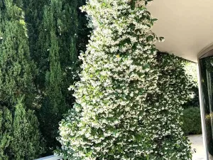 Prodej bytu 3+kk, Budva, Černá Hora, 150 m2