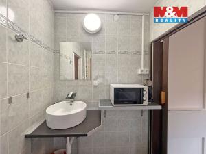 Prodej bytu 1+kk, Lipno nad Vltavou, 20 m2