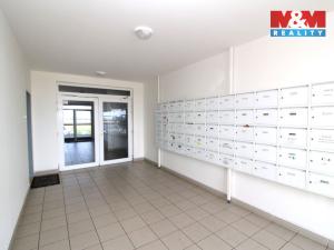 Pronájem bytu 1+kk, Klecany, V Honech, 29 m2