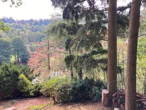 Prodej pozemku pro bydlení, Samopše, 1526 m2