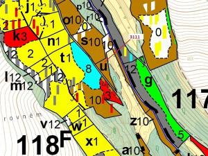 Dražba lesa, Benešov u Semil, 2958 m2