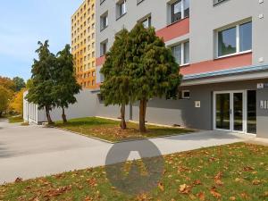 Prodej bytu 2+1, Brno, Luční, 57 m2