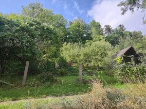 Prodej pozemku pro bydlení, Vysoké Mýto, Vinice, 1447 m2