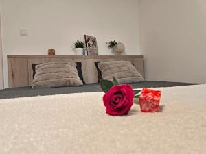 Pronájem bytu 2+kk, Liberec, 44 m2