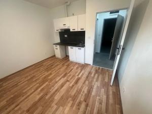 Pronájem bytu 1+kk, Praha - Břevnov, Na břevnovské pláni, 17 m2